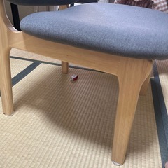 ダイニングチェア（座面広い）の画像