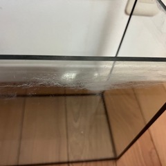 ガラス水槽　40センチの画像