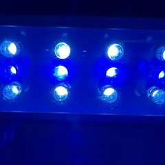 ガラス水槽　40センチの画像