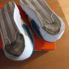 NIKE BLAZER LOW /  SACAI 29.5cmの画像