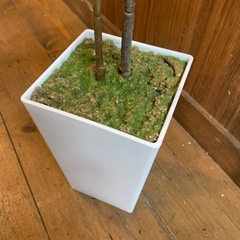 人工観葉植物　フェイクグリーン　インテリア　自然　鋸歯縁の画像