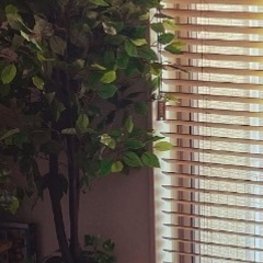 人工観葉植物（左のみ）光触媒の画像