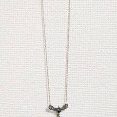 ネックレス　シルバーアクセサリー　イーグル&フェザーの画像