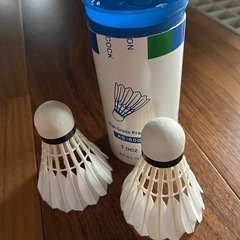 バドミントンラケットの画像