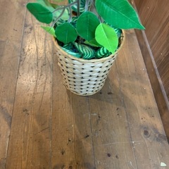 観葉植物　フェイクグリーン　大きめ　インテリア　自然　全縁の画像