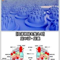 足ツボマット【柔道整復師推薦】あしつぼマットの画像