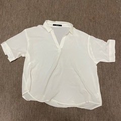 レディースブラウス半袖4枚セットの画像