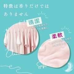 ボール型洗濯洗剤 arfum 100粒 lilyの画像