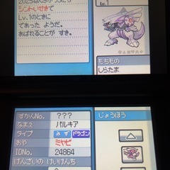 ポケモン　ソウルシルバー　レア個体有りの画像