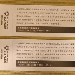 北海道芸術花火の画像