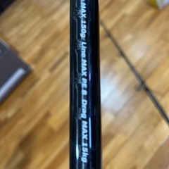 沖縄マンビカ　ベイトモデルの画像