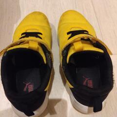 PUMA　キッズスニーカー　イエローの画像