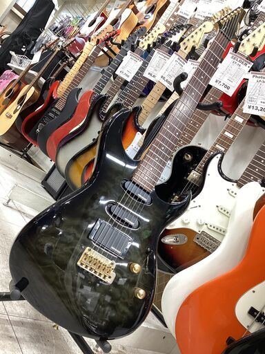 Fernandes FGZ-420 ディンキータイプ Roland GK-2A Fernandes FGZ-420 ディンキータイプ Roland GK-2A