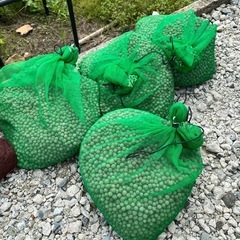 引き取り予定決まりました　水槽　濾過材　中古品の画像