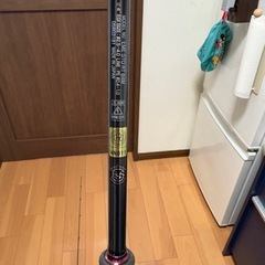 みんな大好きエギングストイストRTの画像