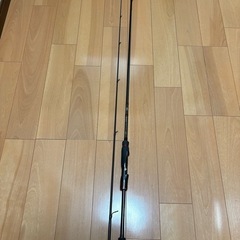 みんな大好きエギングストイストRTの画像