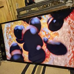 55型 液晶テレビ SONY ソニー Android TV 高音質スピーカー搭載 79


の画像