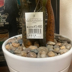 フェイクグリーン🍀2個セット‼️の画像