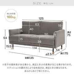 【定価4.3万円】Lowya フロアソファ 2人掛けの画像