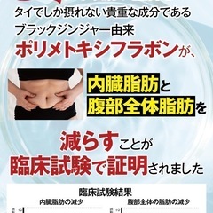 モヤセル 30粒30日 BMI が高めの方の腹部の 脂肪 を減らすの画像