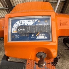 ジャイロ　ヘルメット不要　ミニカー登録可　値段交渉OKの画像