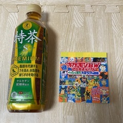 【新品・未使用】ポケモンBW アニメステッカー　イッシュ地方大ぼうけん図鑑　希少の画像