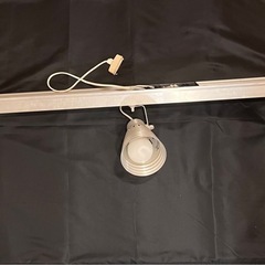 天井照明(ライト付き)の画像
