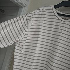 【3L】七分袖/ボーダートップスの画像