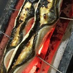 55.鰻釣り専門ラインオープンチャット【鰻遊会】メンバー募集のお...