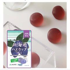 お菓子　北海道ハスカップグミ　10袋セットの画像