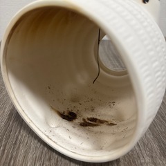 蚊取りぶたの画像