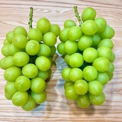【大粒】朝採りシャインマスカット1房の画像