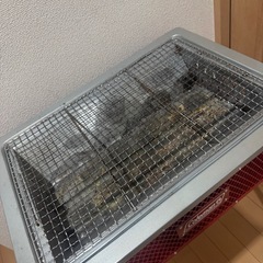 コールマン　グリル＆ケースセットの画像