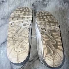 AIR MAX レディースの画像
