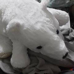 シロクマのぬいぐるみの画像