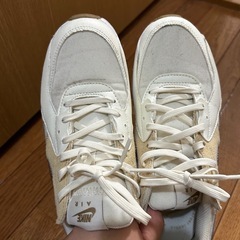 【ナイキ】エアマックス24.5cmの画像