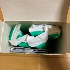 受付終了（開封済み）ロリエ 朝までブロック300、ソフィ コンパクトタンポンの画像