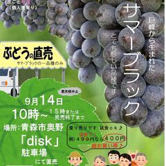 青森市渡し＞ぶどうサマーブラック１Ｋg入り（箱・包装込み価格）の画像