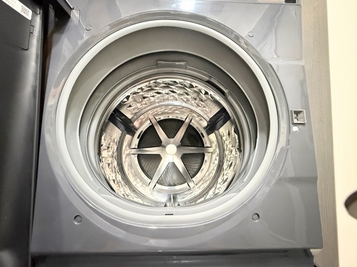 売約済み2025年購入 パナソニック ドラム式洗濯機 NA-VG2900L ナノイーX