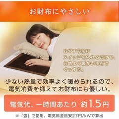 アイリスオーヤマ　電気しき毛布の画像