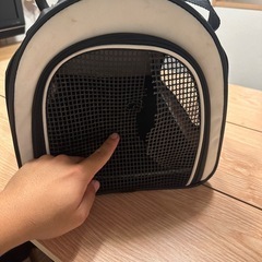 ペット　キャリーバッグの画像