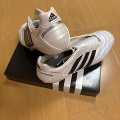 ⚽️未使用24.5cm
サッカーシューズ⚽️の画像