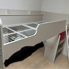 ⭐︎美品⭐︎ニトリ　ロフトベッドの画像