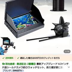 水中カメラの画像