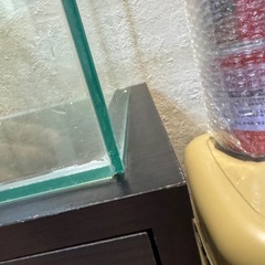 25センチキューブ水槽の画像