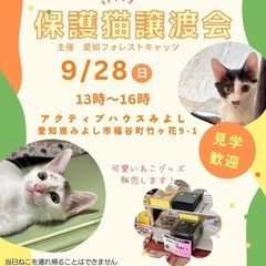 保護猫譲渡会＆チャリティー物販　みよし市