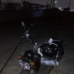 ズーマー（不動車）の画像