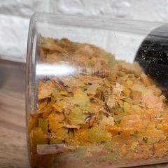 熱帯魚　エサの画像