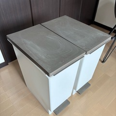 ゴミ箱45L 2個セットの画像