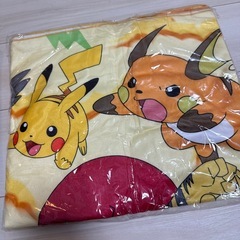 ポケットモンスター★プレミアムおっきいバスタオル ～せいでんき～の画像